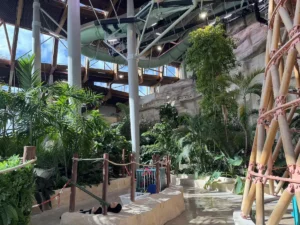 Villages Nature Aqua Mundo Palmen